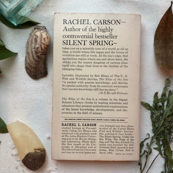 The Edge Of The Sea by Rachel Carson, w/ 160+ illustrations by Bob Hines, 1955 - Picture 4 of 15